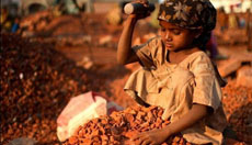 Сенат Узбекистана одобрил закон о запрете детского труда