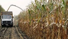 ����� �������� ������ ���������� �������� �� ���������