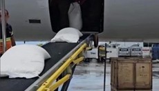 ������ ��������� � ��������� 22 ����� ��������� � ��������� ���������